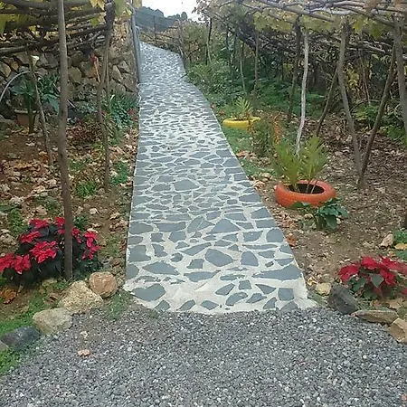 Casa Canaria La Moncloa * Icod De Los Vinos