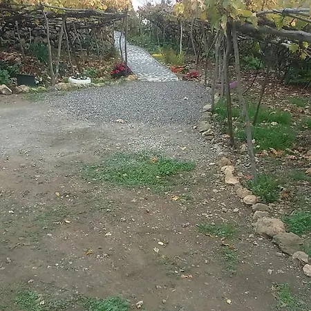 Casa Canaria La Moncloa